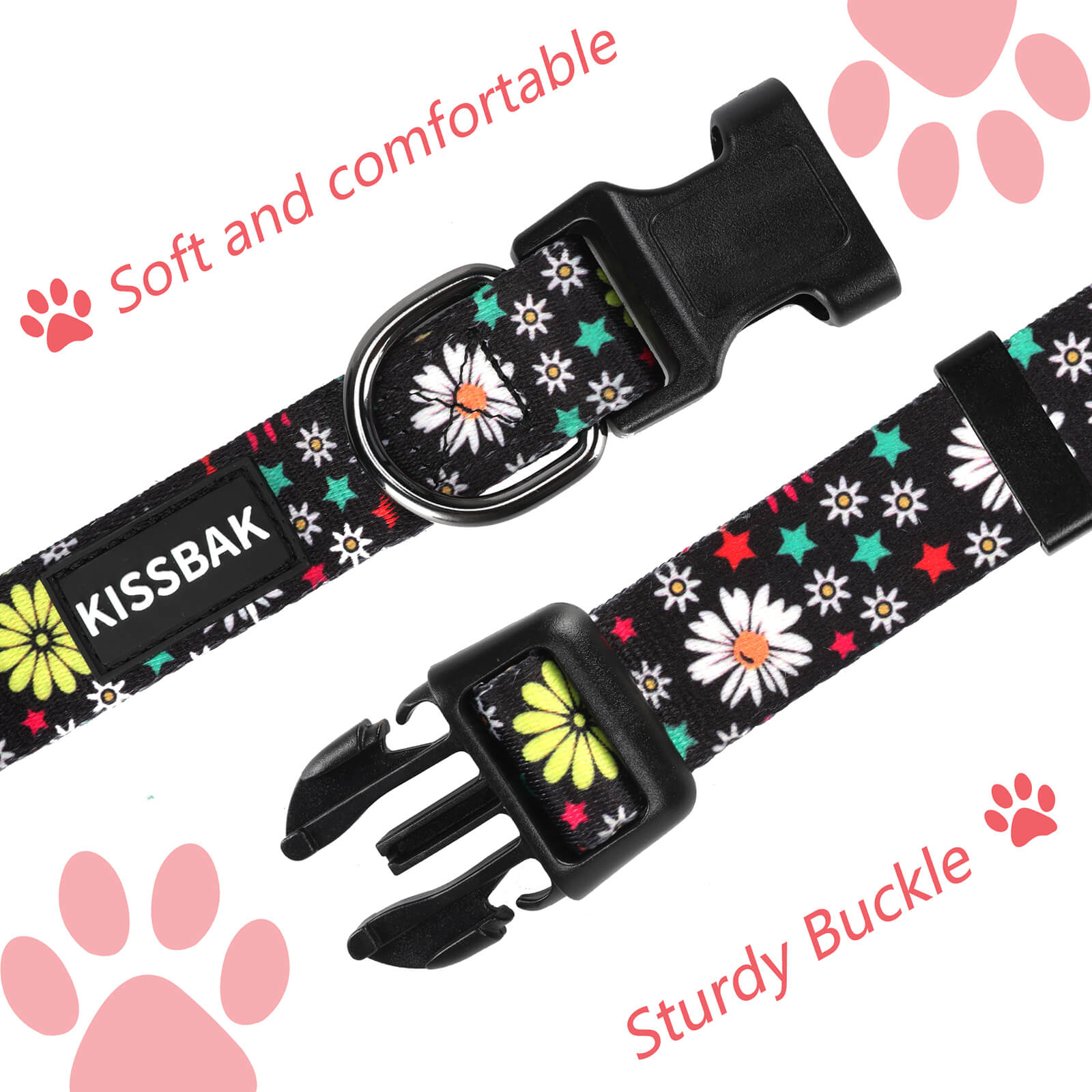 Lucy & Co. Rolling Around Malibu Adjustable Dog Collar- Cute Designer Pet  Collar for Small, Medium, Large Dogs- Buckle Closure Dog Accessories
